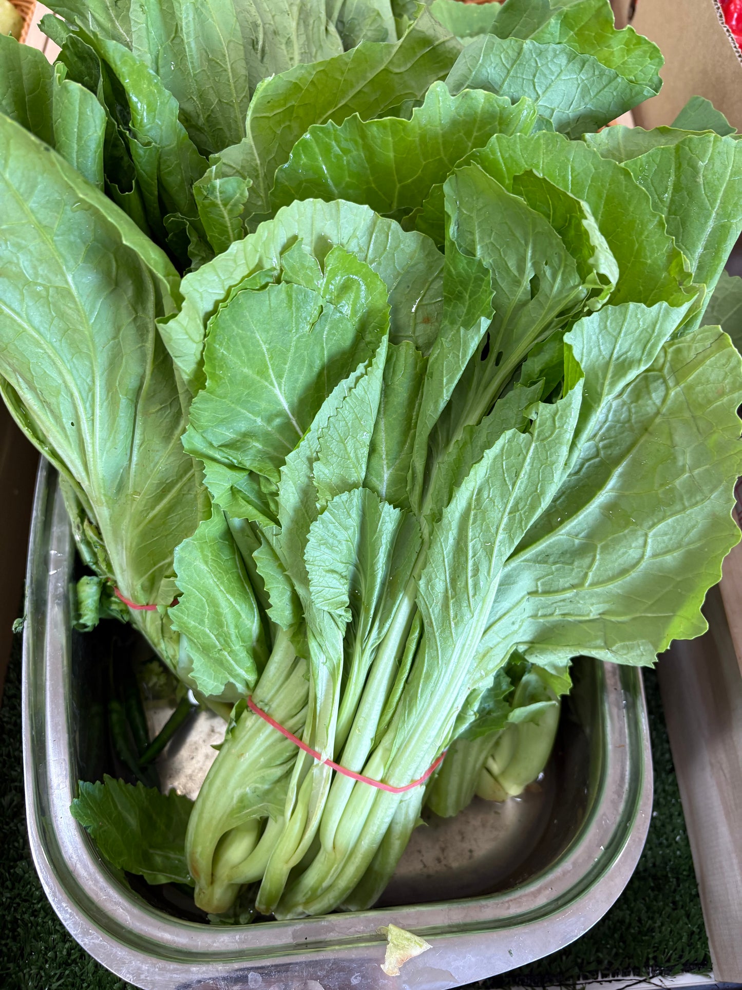 Saag