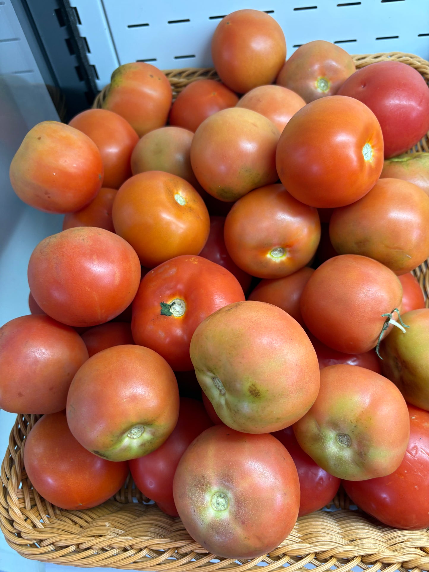 Tomato