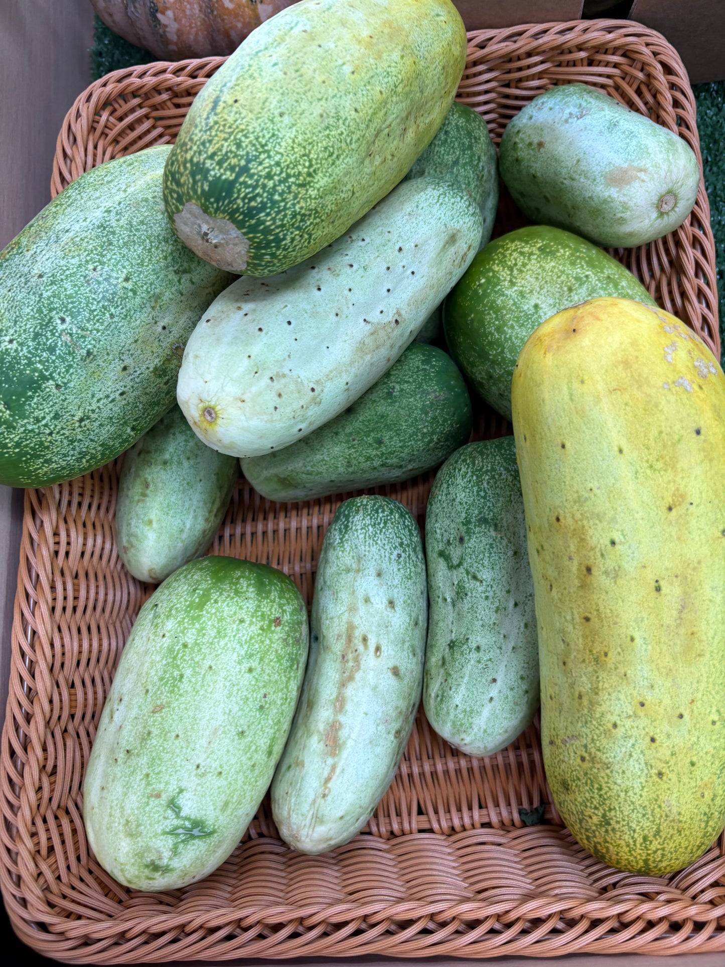 Cucumber